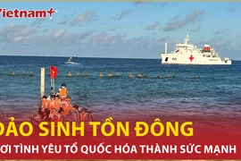 Sinh Tồn Đông: Nơi tình yêu Tổ quốc hóa thành sức mạnh 