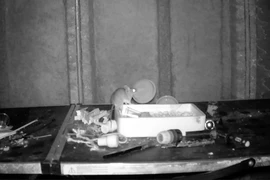Hình ảnh thu được từ camera chú chuột đang dọn dẹp các đồ vật đặt vào trong một chiếc khay. (Nguồn: Newsflare)