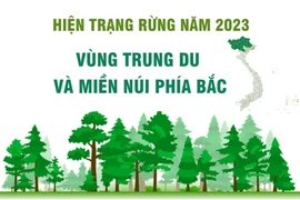 Công bố hiện trạng rừng 2023: Tỷ lệ che phủ toàn quốc đạt 42,02%