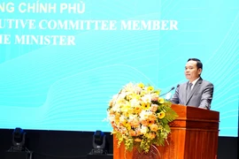 Phó thủ tướng Chính phủ Trần Lưu Quang phát biểu chỉ đạo tại Hội nghị. (Ảnh: Lê Phước Ngọc/TTXVN)
