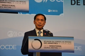 Bộ trưởng Ngoại giao Bùi Thanh Sơn phát biểu tại Lễ Kỷ niệm 10 năm thành lập Chương trình khu vực Đông Nam Á (SEARP) của OECD. (Ảnh: Thu Hà/TTXVN)
