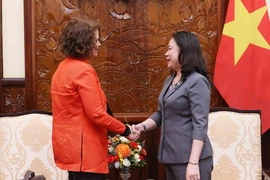 Quyền Chủ tịch nước Võ Thị Ánh Xuân tiếp Giám đốc Quốc gia Ngân hàng Thế giới tại Việt Nam Carolyn Turk. (Ảnh: An Đăng/TTXVN)
