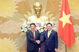 Chủ tịch Quốc hội Vương Đình Huệ với đồng Chủ tịch Ủy ban Kinh tế Nhật-Việt Masayuki Hyodo. (Ảnh: Nhan Sáng/TTXVN)