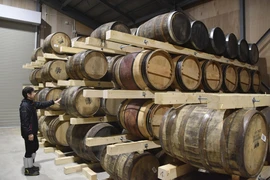 Thùng rượu whisky được bảo quản tại Hokkaido, Nhật Bản. (Ảnh: Kyodo/TTXVN)