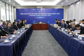 Phó Thủ tướng Trần Hồng Hà làm việc với đại diện các tập đoàn Trung Quốc tham dự Diễn đàn Horasis tại Bình Dương ngày 15/4. (Ảnh: Dương Chí Tưởng/TTXVN)