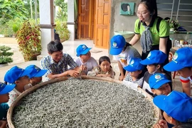 Học sinh trải nghiệm cách nuôi tằm tại huyện Nghĩa Hành, tỉnh Quảng Ngãi. (Ảnh: TTXVN phát)