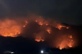 Rừng trên địa bàn xã Núi Tô, huyện Tri Tôn, tỉnh An Giang cháy lớn trong đêm 26/4. (Ảnh: TTXVN phát)