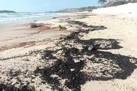 Dầu vón cục trôi dạt vào bãi biển Mũi Né, thành phố Phan Thiết, tỉnh Bình Thuận. (Ảnh: Nguyễn Thanh/TTXVN)