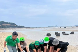 Các thành viên tham gia nhặt rác trên bãi biển. (Ảnh: TTXVN phát)