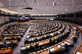 Toàn cảnh một phiên họp Nghị viện châu Âu. (Ảnh: AFP/TTXVN)