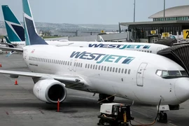 Khoảng 700 chuyến bay của WestJet đã bị hủy bỏ. (Nguồn: The Canadian Press)