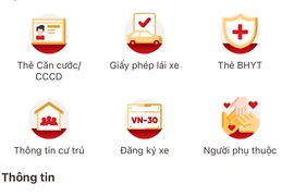 Thông tin về giấy tờ xe trên VNeID. (Nguồn: Vietnam+)