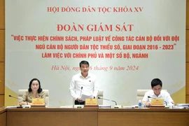 Chủ tịch Hội đồng Dân tộc Y Thanh Hà Niê Kđăm - Trưởng Đoàn giám sát phát biểu tại cuộc làm việc. (Nguồn: Cổng Thông tin Điện tử Quốc hội Việt Nam)