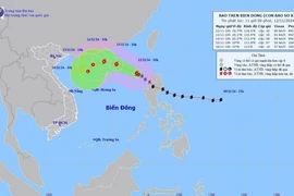 Đường đi của bão số 8 lúc 10h ngày 12/11. (Ảnh: TTXVN phát)