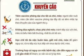 Các biện pháp phòng bệnh dại theo khuyến cáo của Bộ Y tế.