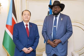 Tổng thống Nam Sudan Salvar Kiir Mayardit tiếp Đại sứ Nguyễn Huy Dũng sau lễ trình Thư ủy nhiệm. (Ảnh: Cơ quan thường trú Cairo)