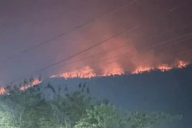 Một vụ cháy rừng ở Lào. (Nguồn: the star)