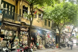 Các cửa hàng bán thuốc Đông Nam dược nằm san sát nhau trên phố Lãn Ông. (Ảnh: Vietnam+)