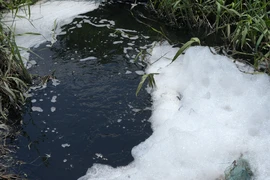 Nguồn nước thải đổ vào kênh Gò Kén có màu đen đặc, nổi bọt trắng, bốc mùi hôi thối. (Ảnh: Minh Phú/TTXVN)