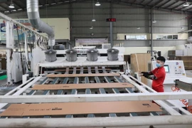 Dây chuyền sản xuất bao bì carton lớn tại Công ty Trách nhiệm hữu hạn Trần Thành, khu công nghiệp Tiên Sơn, huyện Tiên Du, tỉnh Bắc Ninh. (Ảnh: Thái Hùng/TTXVN)