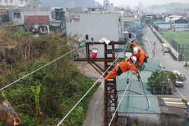 Thi công sửa chữa lưới điện trên địa bàn phường Hà Tu, thành phố Hạ Long. (Ảnh: Huy Hùng/TTXVN)