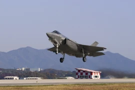 Máy bay chiến đấu F-35A. (Ảnh: AFP/TTXVN)