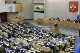 Phiên họp của Duma Quốc gia Nga. (Nguồn: AFP)