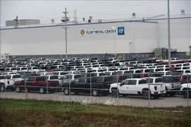 Các mẫu xe Chevrolet và bán tải của General Motors (GM). (Ảnh minh họa: AFP/TTXVN)