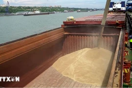 Chuyển ngũ cốc lên tàu tại cảng Rostov-on-Don, Nga. (Ảnh: AFP/TTXVN)