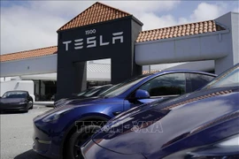Ô tô điện của hãng Tesla tại cửa hàng ở San Mateo, California, Mỹ. (Ảnh: THX/TTXVN)