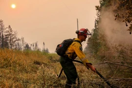 Lính cứu hỏa nỗ lực dập lửa cháy rừng. (Ảnh minh họa: THX/TTXVN) 