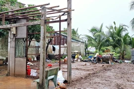 Chị Nguyễn Thanh Thúy, có nhà bị sập hoàn toàn, được hỗ trợ xây dựng mới nhà Đại đoàn kết. (Ảnh: TTXVN phát)