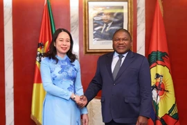 Phó Chủ tịch nước Võ Thị Ánh Xuân hội kiến Tổng thống Mozambique Filipe Nyusi trong chuyến thăm chính thức Cộng hoà Mozambique, sáng 12/9/2023. (Ảnh: Lâm Khánh/TTXVN)