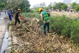 Thu dọn, cắt tỉa cây xanh trên đường Kim Giang, quận Thanh Xuân. (Ảnh: Tuấn Anh/ TTXVN)