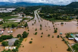 Ngập lụt ở Thái Lan. (Ảnh: REUTERS/TTXVN) 