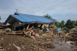 Cảnh tàn phá sau bão Trami tại tỉnh Batangas, Philippines, ngày 25/10/2024. (Ảnh: THX/TTXVN)