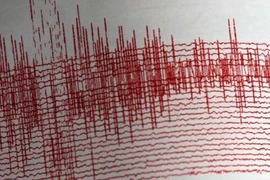 Tâm chấn của động đất nằm cách thủ đô Port Vila 83km về phía Tây Bắc với độ sâu chấn tiêu khoảng 29km.