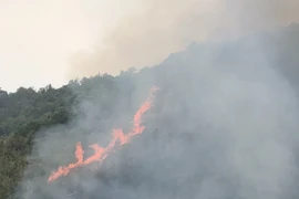 Đám cháy rừng được xác định tại địa bàn giáp ranh giữa hai xã Trung Chải và Nậm Ban của huyện Nậm Nhùn. (Ảnh: Quý Trung/TTXVN)