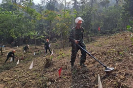Đội rà phá vật cản thuộc Lữ đoàn 543 thực hiện rà phá bom mìn tại địa bàn huyện Vị Xuyên (tỉnh Hà Giang). (Ảnh: Đức Thọ/TTXVN)