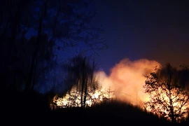 Hiện trường vụ cháy rừng xảy ra vào tối 23/4 tại núi Cậu, huyện Dầu Tiếng (tỉnh Bình Dương). (Ảnh: TTXVN phát)