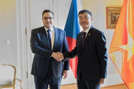 Bộ trưởng Ngoại giao Cộng hòa Séc Jan Lipavsky tiếp Đại sứ Đại sứ Việt Nam tại Cộng hòa Séc Dương Hoài Nam. (Ảnh: TTXVN phát)