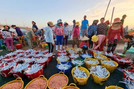 Algeria mong muốn các doanh nghiệp Việt Nam tham gia đầu tư tại tỉnh Annaba trong các lĩnh vực như đánh bắt, nuôi trồng thủy hải sản. (Ảnh: Nguyễn Thành/TTXVN)