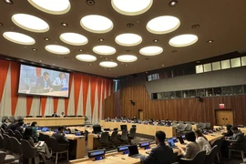 Toàn cảnh phiên họp tổng kết tháng 4/2024 của Nhóm châu Á-Thái Bình Dương (APG) tại Liên hợp quốc. (Ảnh: TTXVN phát)