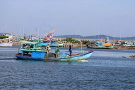 Từ tháng 8/2022 đến nay, tỉnh Bà Rịa-Vũng Tàu không có trường hợp tàu cá vi phạm khai thác vùng biển nước ngoài. (Ảnh: Lê Huy Hải/TTXVN)