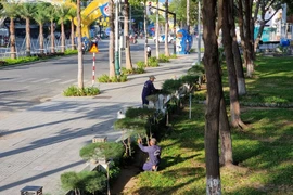 Công nhân chăm sóc, cắt tỉa cây xanh ở thành phố Phan Rang-Tháp Chàm (Ninh Thuận). (Ảnh: Nguyễn Thành/TTXVN)