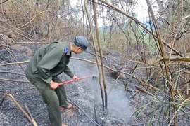 Lực lượng chức năng khẩn trương chữa cháy rừng. (Ảnh: TTXVN phát)