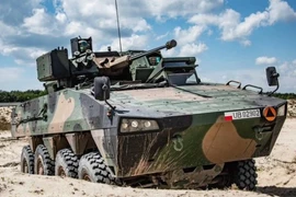 Một xe bọc thép chở quân Rosomak. (Nguồn: Defense24)