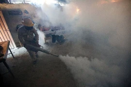 Phun thuốc diệt muỗi. (Ảnh: AFP/TTXVN)