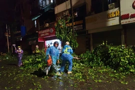 Lực lượng chức năng xử lý cây xanh gãy đổ trên phố Lò Đúc, quận Hai Bà Trưng (Hà Nội), lúc 22h05 đêm 7/9. (Ảnh: Doãn Tấn/TTXVN)