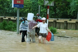 Người dân Lào Cai vượt lũ để có được nước từ khe núi mang về gia đình sử dụng. (Ảnh: Quốc Khánh/TTXVN)